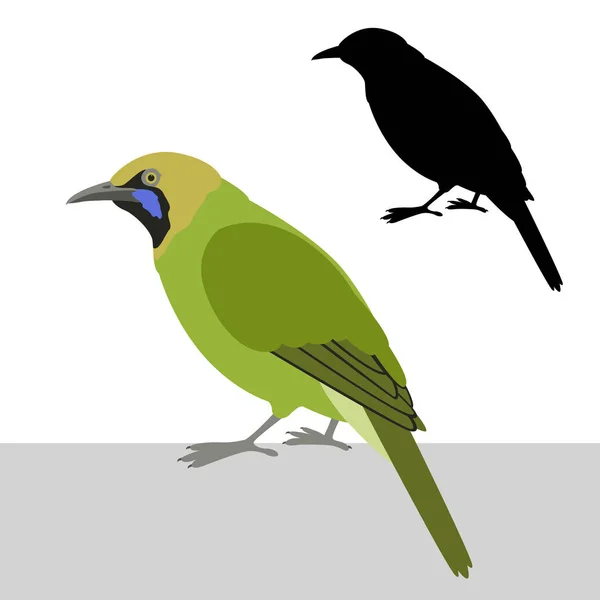 Größere grüne Blatt Vogel Vektor Illustration flachen Stil Silhouette — Stockvektor