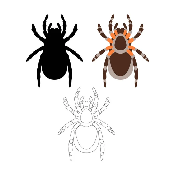 Araña vector ilustración estilo plano cara frontal para colorear — Vector de stock