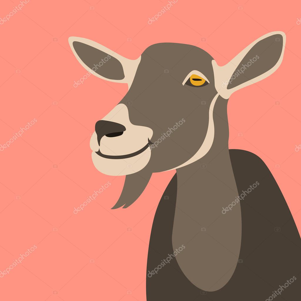 Goat  head  vector illustration flat style front side