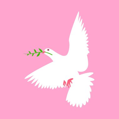 kuş vektör çizim düz stil açık güvercin 