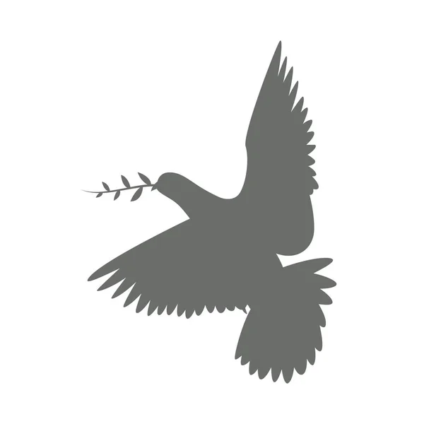 Colombe oiseau vecteur illustration noir silhouette avant — Image vectorielle