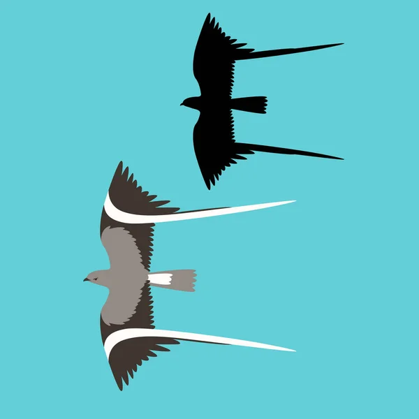 Wimpel gevleugelde nachtzwaluwen vogel vectorillustratie plat — Stockvector