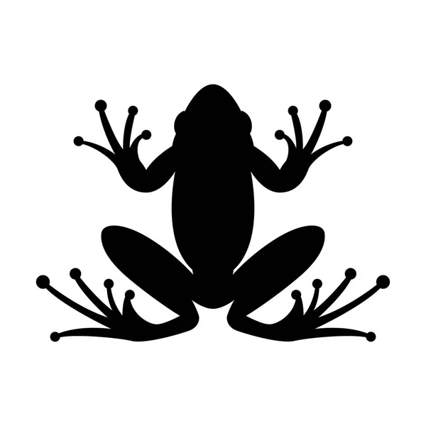 Illustration vectorielle grenouille silhouette noire face avant — Image vectorielle