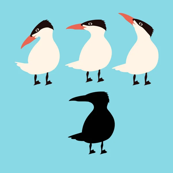 Caspian tern vektorové ilustrace plochý černý silueta — Stockový vektor