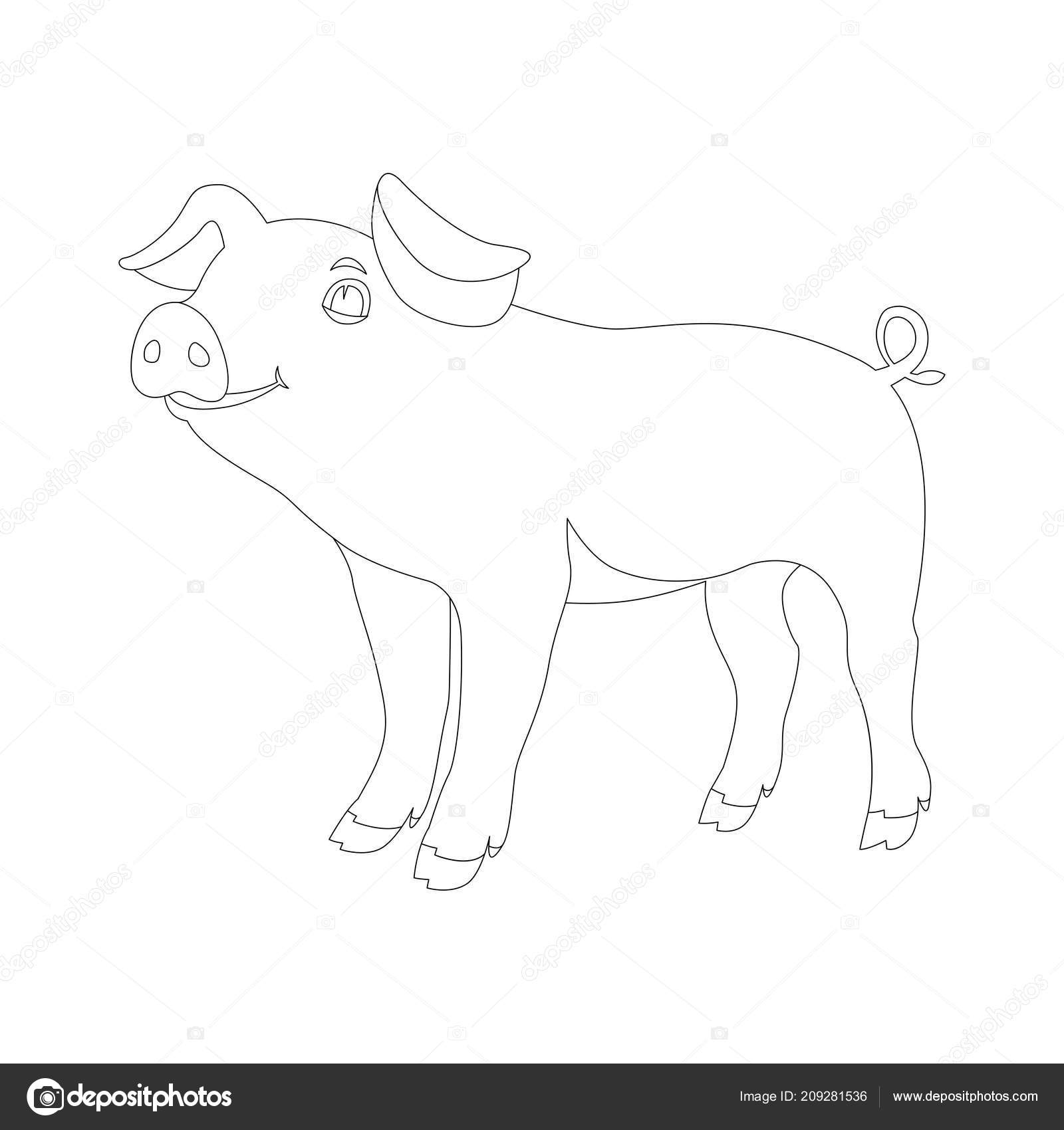 Bebe Porcelet Dessin Anime Vecteur Illustration Coloriage Livre Profil Image Vectorielle Par Wectors C Illustration Bebe Porcelet Dessin Anime Vecteur Illustration Coloriage Livre Profil Image Vectorielle Par Wectors C Illustration