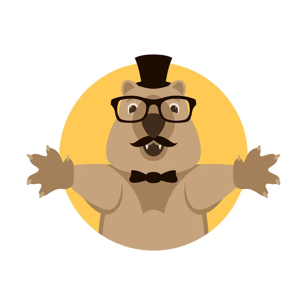 Cara quokkas vector de dibujos animados ilustración frente de estilo plano — Vector de stock