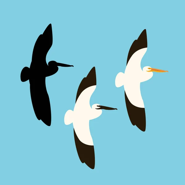 Pelican ave vector ilustración plano estilo negro silueta — Vector de stock