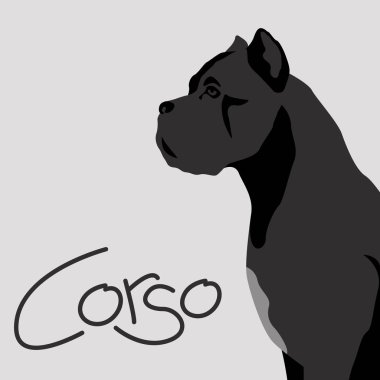 köpek corso vektör çizim düz stil profili 