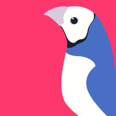 gouldian finch vektör çizim düz stil profili 