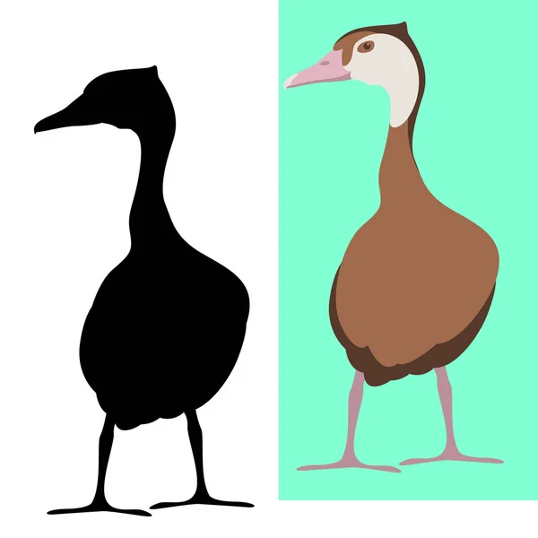 Whistling duck  vector illustration flat style silhouette — Stock Vector