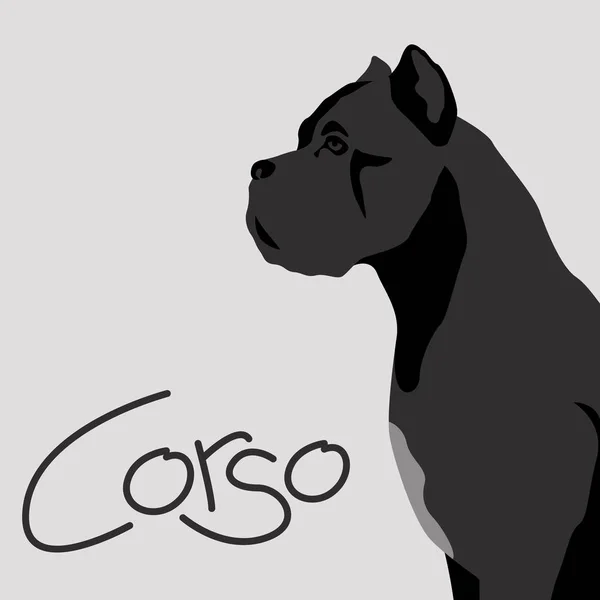 Hund Corso Vektor Illustration flachen Stil Profil — Stockvektor