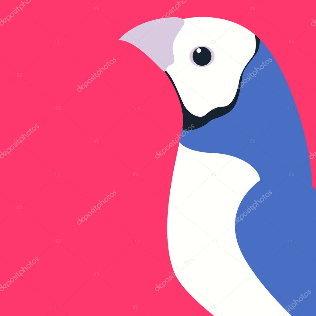 gouldian finch vector illustration flat style profile 