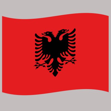 gri arka plan vektör çizim Arnavutluk bayrağı  