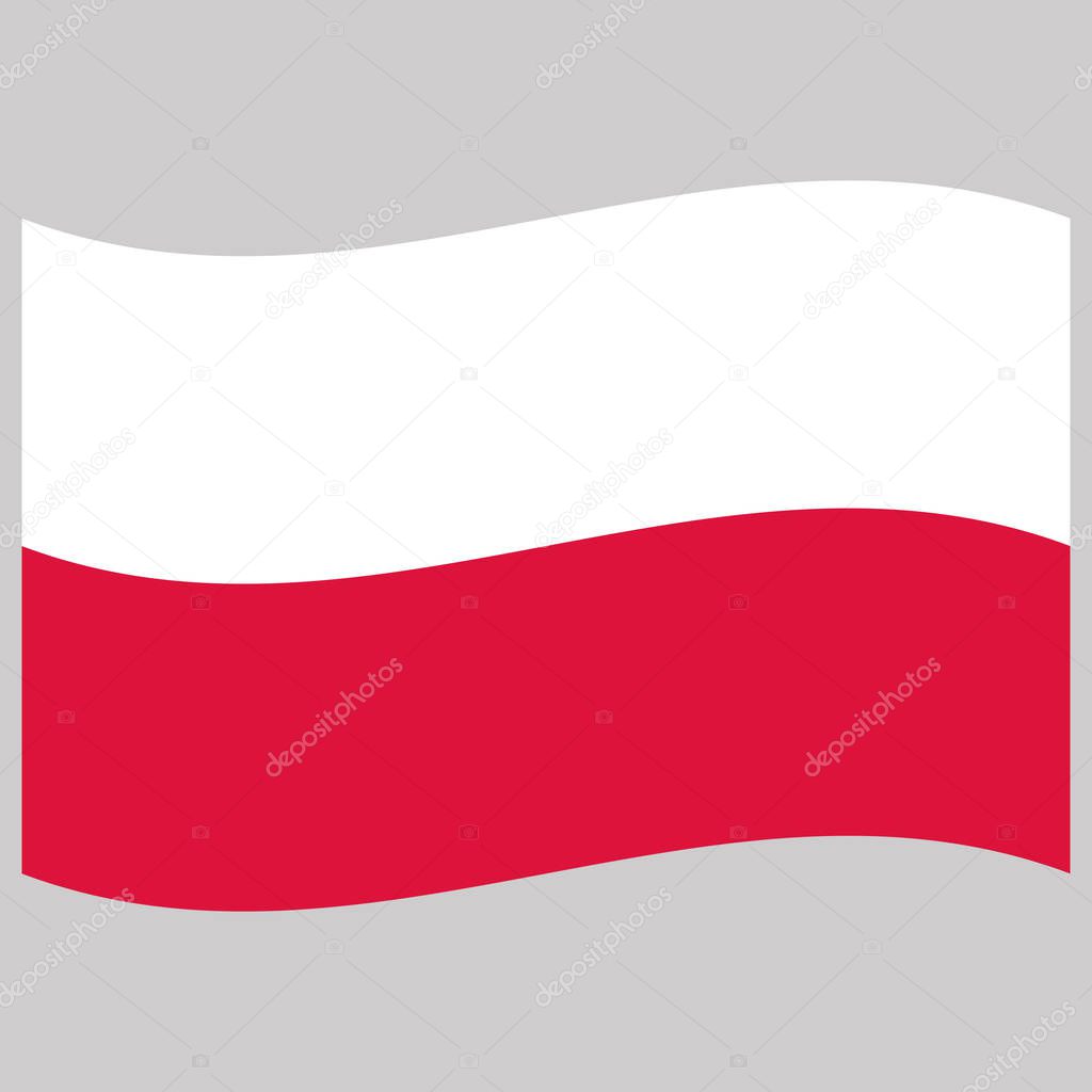 Poland flag  on gray background vector illustration flat