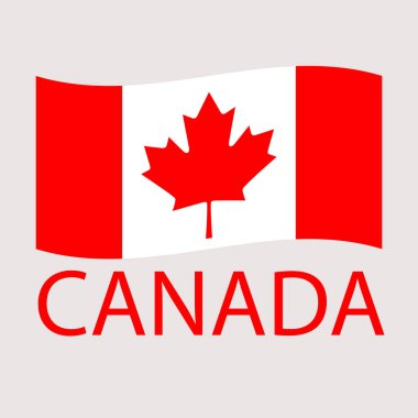 gri arka plan vektör çizim üzerinde düz Kanada bayrağı