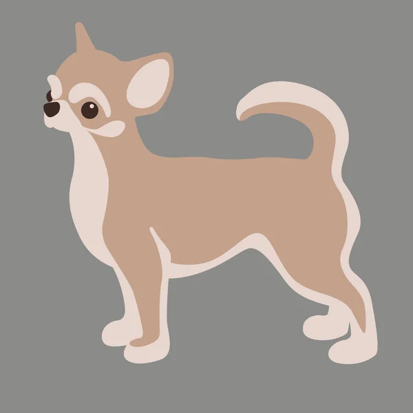 Chihuahua pies wektor ilustracja płaski profil — Wektor stockowy