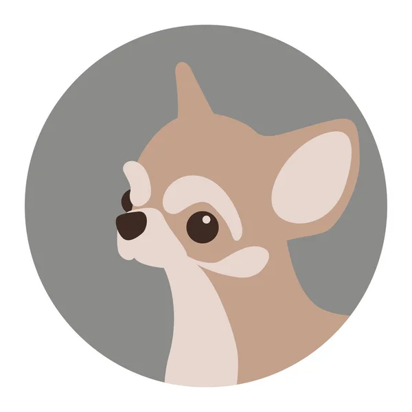 Chihuahua perro vector ilustración plano estilo perfil — Vector de stock