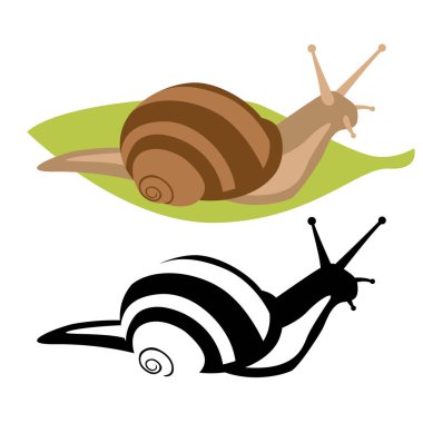 Salyangoz vektör çizim düz stil profil yan 