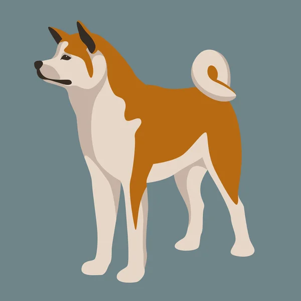 Akita Inu köpek vektör çizim düz stil profili 