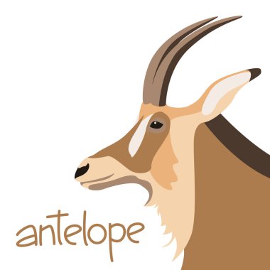 antilop baş vektör çizim düz stil profili 