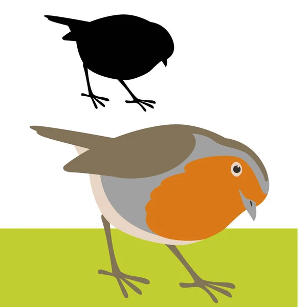 Kuş robin vektör çizim düz stil profili — Stok Vektör
