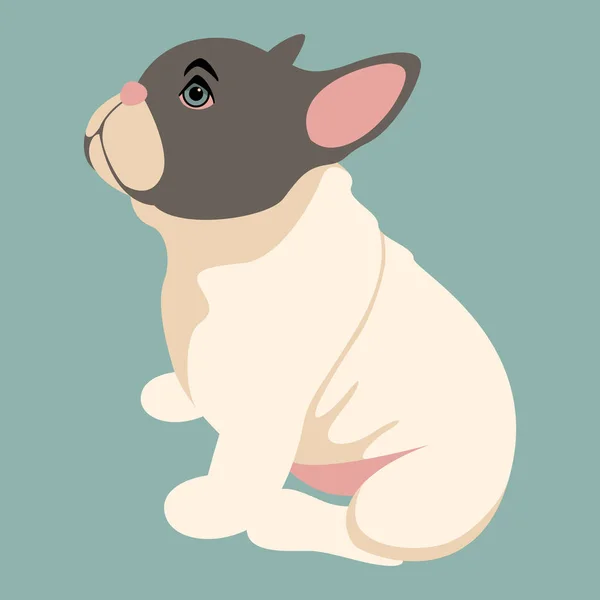 Cão buldogue filhote de cachorro vetor ilustração plana estilo perfil —  Vetores de Stock