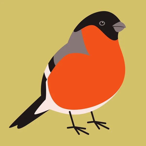 Bird bullfinch  vector illustration flat style profile — Stock Vector