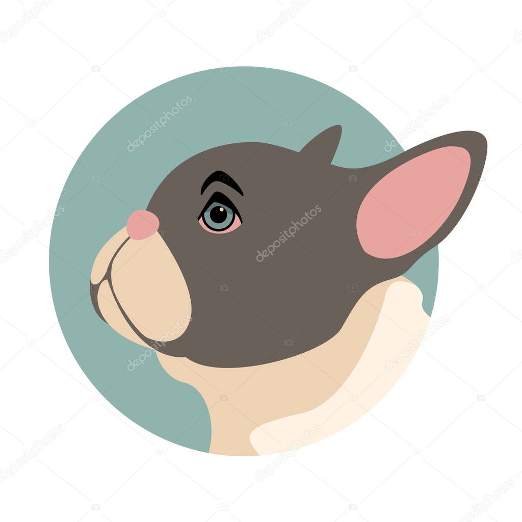 Dog bulldog puppy vector illustration flat style profile side