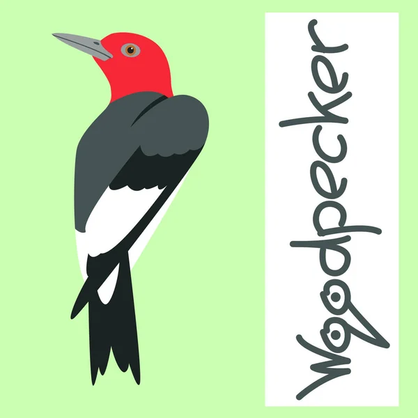 Pájaro carpintero vector ilustración frente estilo plano — Archivo Imágenes Vectoriales
