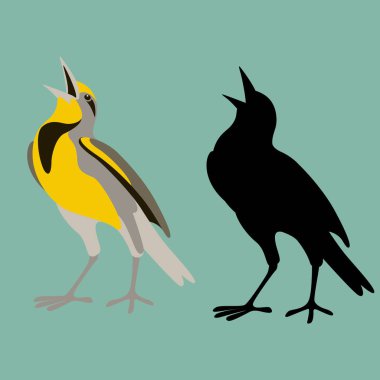 western meadowlark bird  flat style black silhouette  clipart