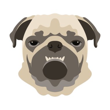 Bulldog köpek yüz vektör çizim düz stil açık 