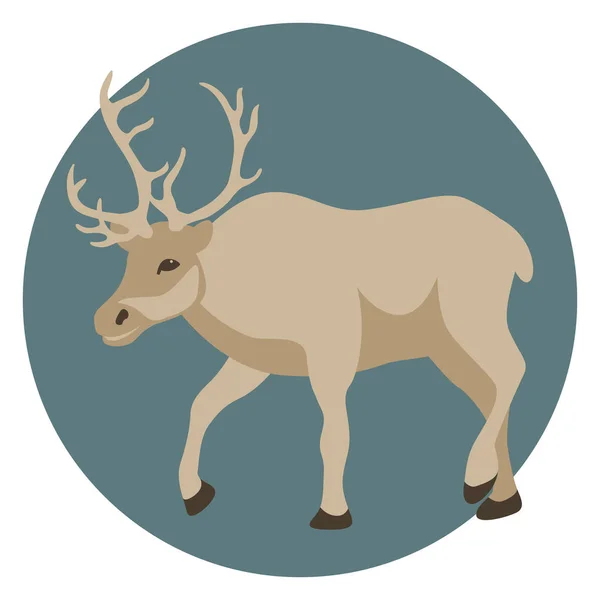 Reindeer  vector illustration   profile side flat — Stock Vector