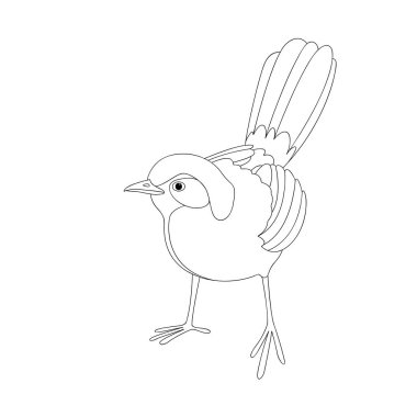 Kırmızı kuyruklu pamukçuk vektör çizim beraberlik astar 