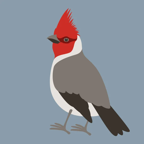 Cardinale uccello vettore illustrazione piatto stile profilo — Vettoriale Stock