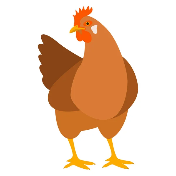 Vector de pollo ilustración frente estilo plano — Vector de stock