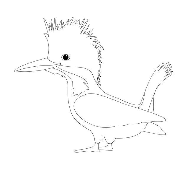 Fågel manliga större gråfiskare vektor illustration färg — Stock vektor