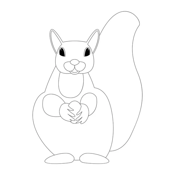 Écureuil avec écrou vecteur illustration avant — Image vectorielle