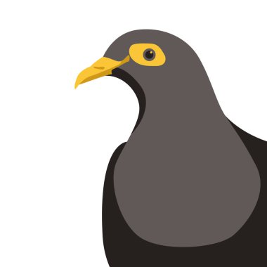 güvercin baş kuş vektör çizim düz 