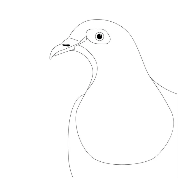 鳩の頭の鳥ベクトル イラスト描画をライニング — ストックベクタ