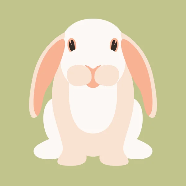 Tavşan karikatür vektör çizim düz stil — Stok Vektör