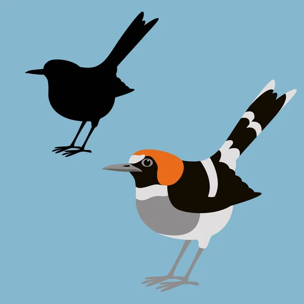 Castaño-naped forktail ave vector ilustración estilo plano — Vector de stock