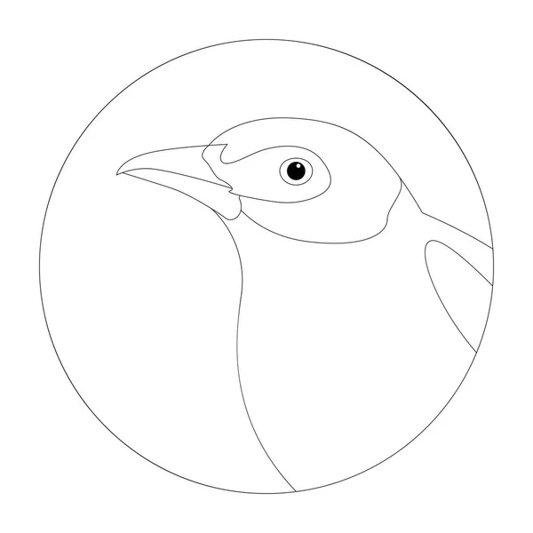 Illustration vectorielle de la tête d'oiseau tityra à queue noire — Image vectorielle