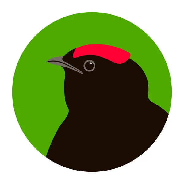 Manakin Bird Head Vector Illustration Flat Style Profile Side — Stock Vector