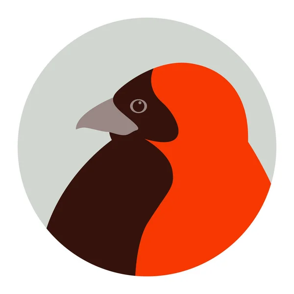 लाल बिशप पक्षी चेहरा सिर वेक्टर चित्र — स्टॉक वेक्टर