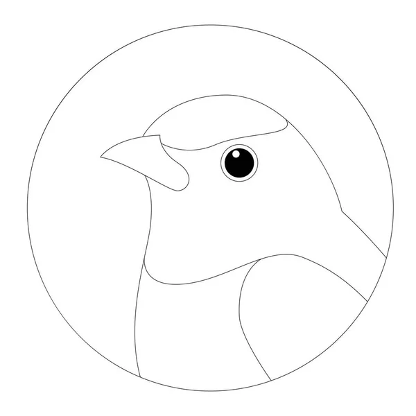 Flycatcher visage tête vecteur illustration doublure dessin — Image vectorielle