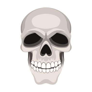 kafatası vektör çizim düz stil ön yüzü