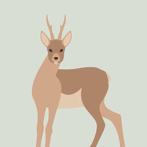 Venado vector ilustración plano estilo frontal — Archivo Imágenes Vectoriales