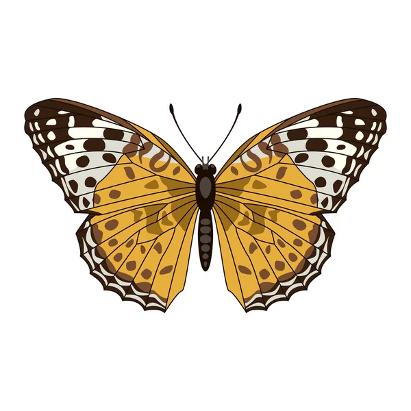 蝶ベクトル図フラット スタイル フロント側 — ストックベクタ