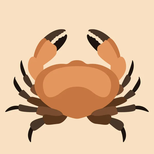 Crab vector illustration flat style  profile — Stock Vector