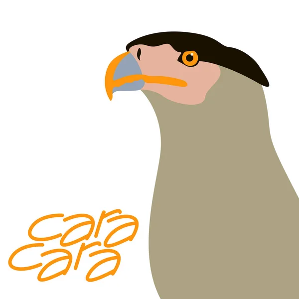 Fågel caracara head vector — Stock vektor